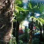 Hana * Opatija